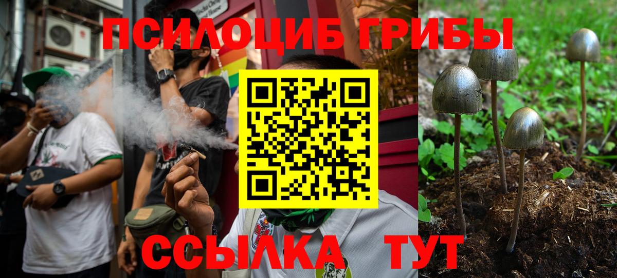 Псилоцибиновые грибы GOLDEN TEACHER  Вход с VPN  Комсомольск-на-Амуре 
